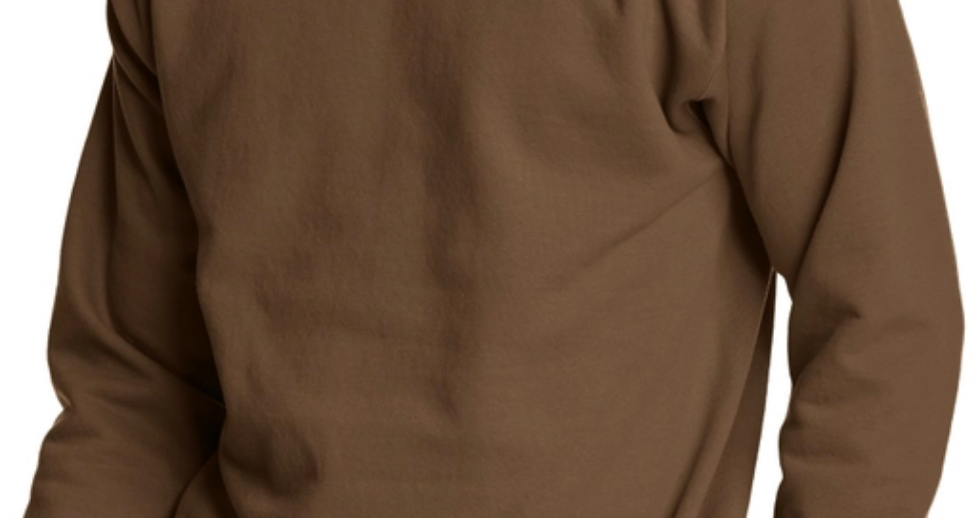 Fall Pumpkin Crewneck Sweatshirt: Brown / Medium